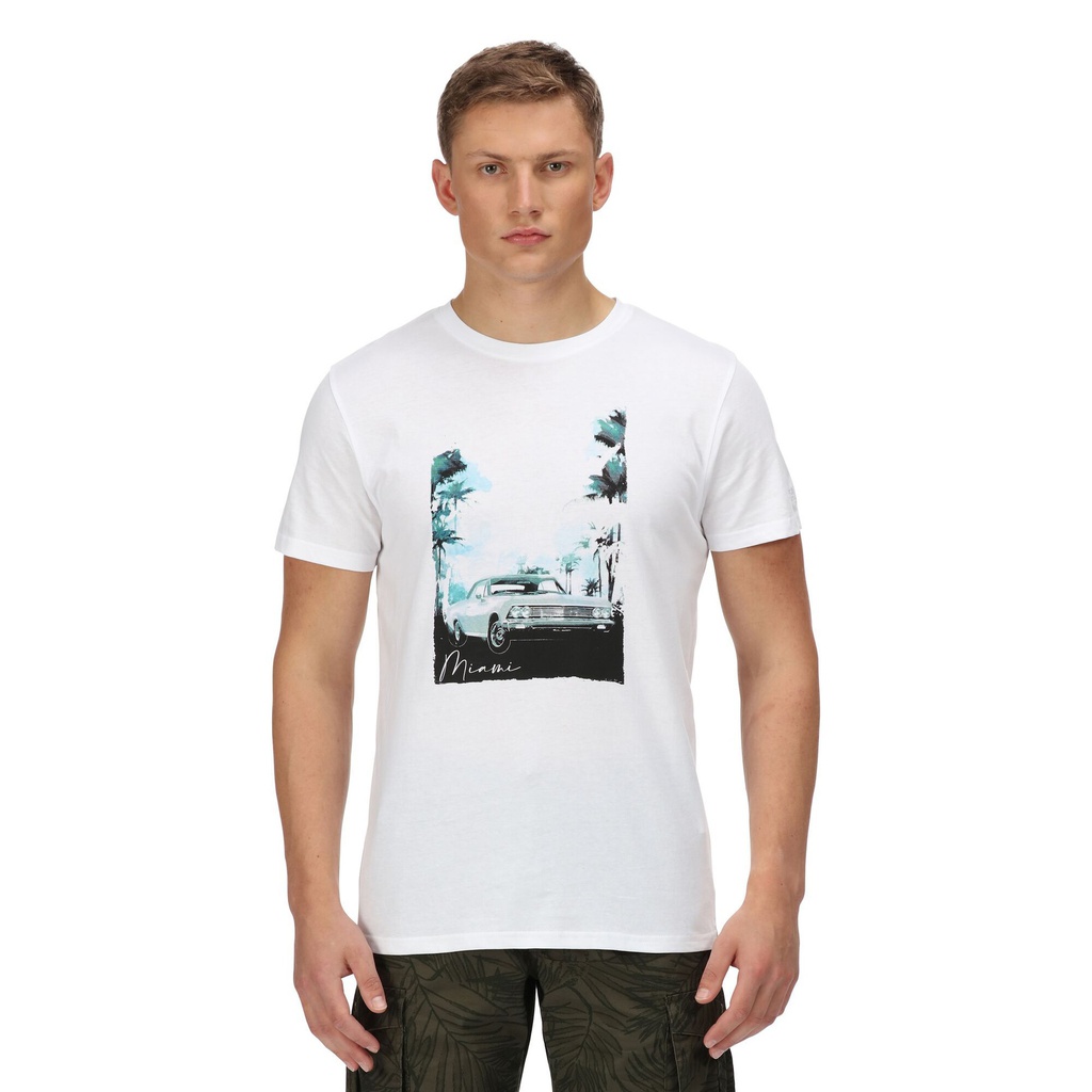 Чоловіча спортивна Regatta Cline VI RMT243-VAI