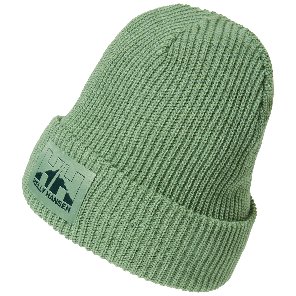 Шапка Helly Hansen NORD BEANIE 49481-406