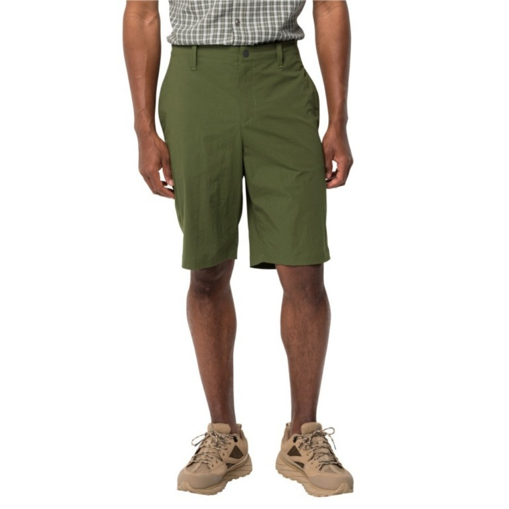 Шорти чоловічі Jack Wolfskin DESERT SHORTS M 1508341_4129