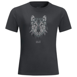 Футболка Jack Wolfskin BRAND WOLF T K 1609421_6350