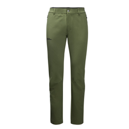 Мужские утепленные брюки Jack Wolfskin ACTIVATE THERMIC PANTS M 1503602_4129