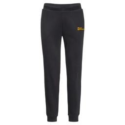 Мужские спортивные штаны Jack Wolfskin ESSENTIAL SWEAT PANTS M 1507182_6000