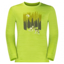 Спортивная футболка с длинным рукавом Jack Wolfskin VARGEN LONGSLEEVE K 1608214_4107
