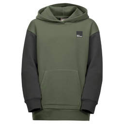 Толстовка Jack Wolfskin SPIRIT HOODY Y 1609591_5032