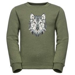 Толстовка Jack Wolfskin ANIMAL PULLOVER K 1609641_5032
