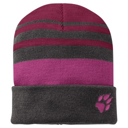 Шапка Jack Wolfskin STRIPY KNIT CAP K 1910401_2501