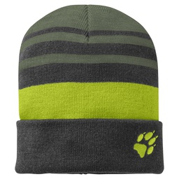 Шапка Jack Wolfskin STRIPY KNIT CAP K 1910401_5145