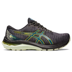 Чоловічі бігові кросівки ASICS GT-2000 11 GTX 1011B477-002