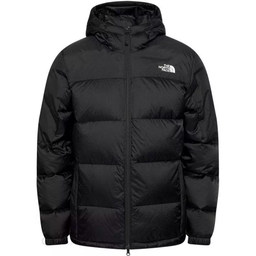 Чоловічий пуховик The North Face Diablo NF0A4M9LKX71