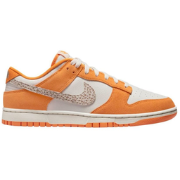 Чоловічі повсякденні кросівки NIKE Dunk Low DR0156-800