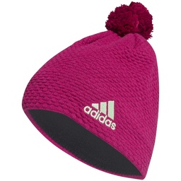 [FT6080] Шапка Adidas GRAPHIC FT6080