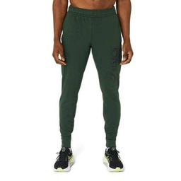 Чоловічі спортивні штани Asics BIG LOGO SWEAT PANT 2031A977-300