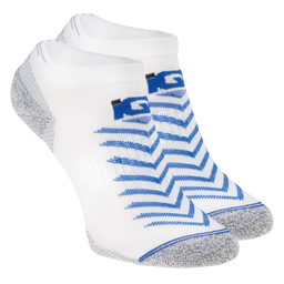 [ARICO-WHITE/GREY/MONACO BLUE] Шкарпетки IQ ARICO-WHITE/GREY/MONACO BLUE