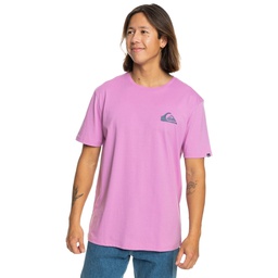 Чоловіча футболка Quiksilver MWMINILOGO TEES EQYZT07657-PHP0
