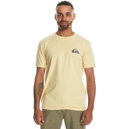 Чоловіча футболка Quiksilver MWMINILOGO TEES EQYZT07657-YED0