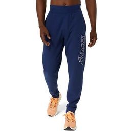 Чоловічі спортивні штани Asics LOGO SWEATPANT 2031E189-404