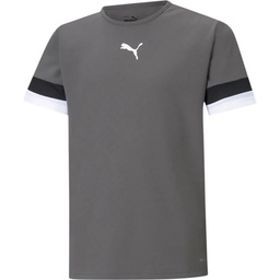 Дитяча футболка Puma teamRISE Jersey Jr 704938-13