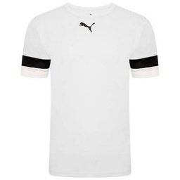 Чоловіча футболка Puma teamRISE Jersey 704932-04