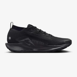 Чоловічі кросівки Nike PEGASUS TRAIL 5 GTX FQ0908-002