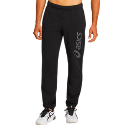 [2031A977-004] Чоловічі спортивні штани ASICS BIG LOGO SWEAT PANT 2031A977-004