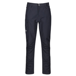 Мужские штаны REGATTA DELGADO TROUSERS RMJ231R-038
